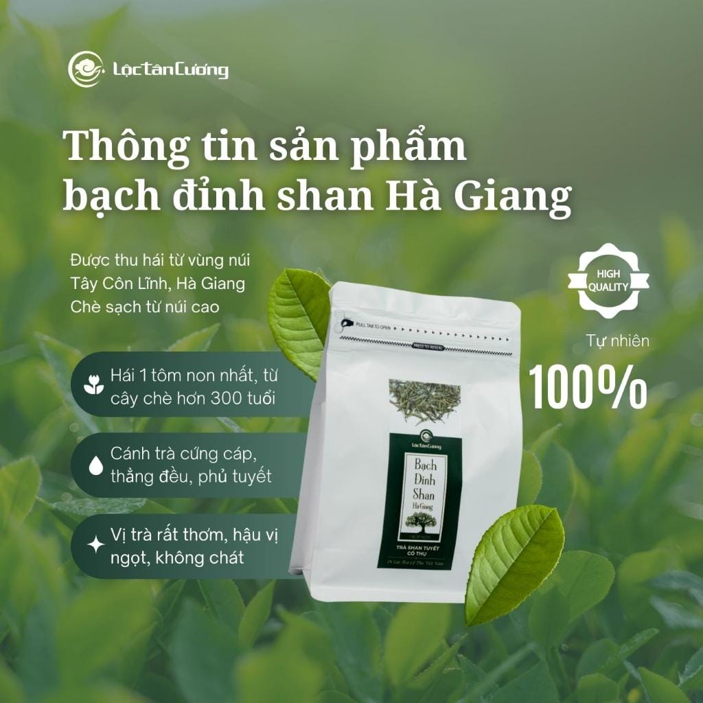bach dinh ha giang sp 4