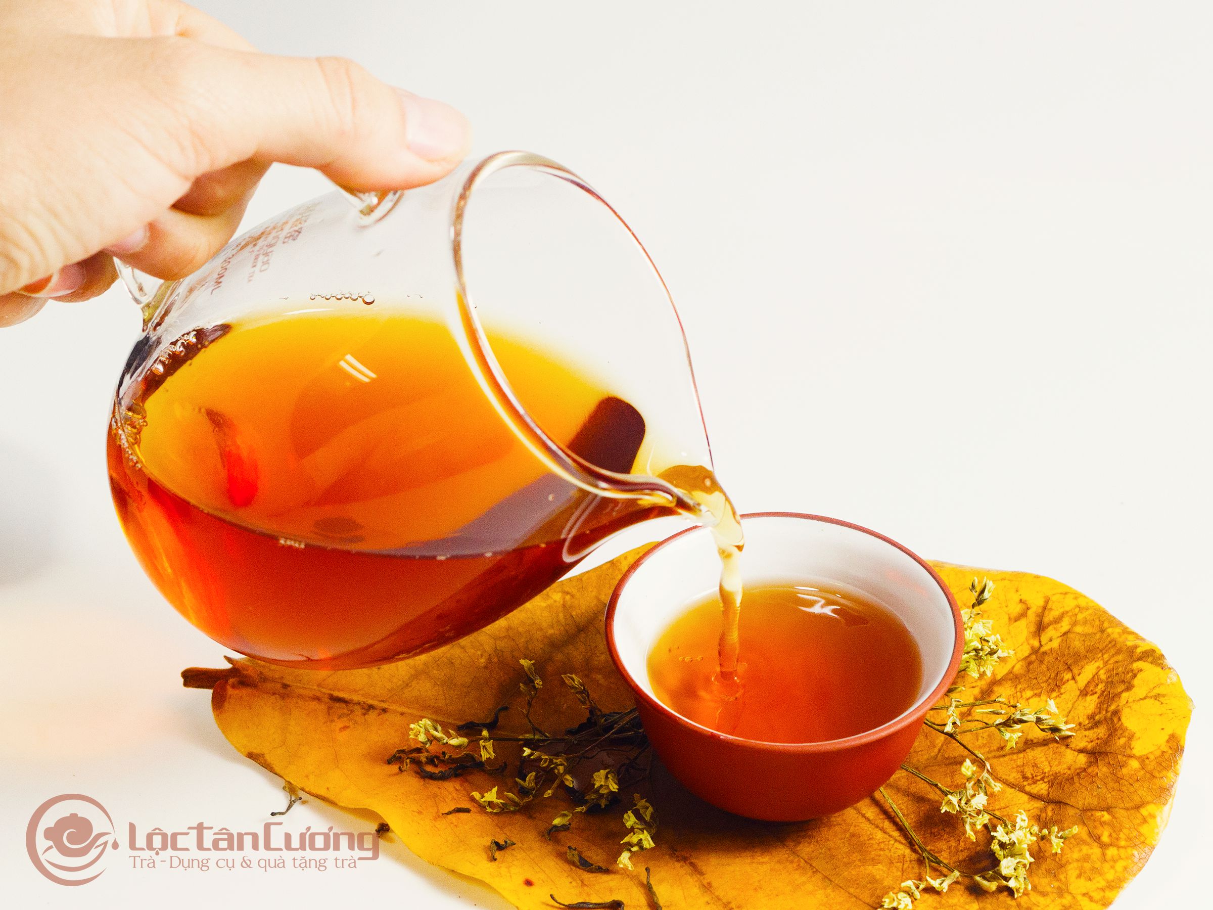 Uống trà shan tuyết rất tốt cho sức khỏe, đặc biệt là hỗ trợ làm giảm mỡ máu vô cùng hiệu quả