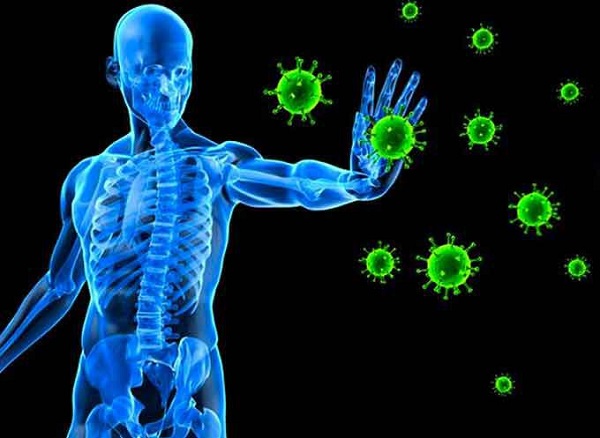 Công dụng tăng cường hệ miễn dịch cho cơ thể, chống loại sự xâm nhập của vi rút